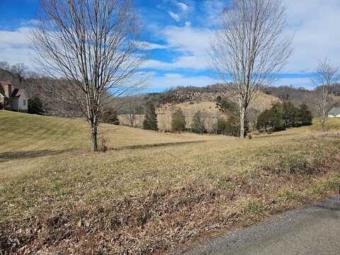 Tbd Big Cedar Creek Road, Lebanon, VA 24266