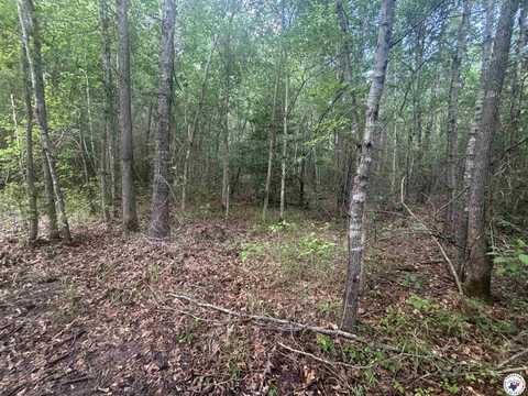 TBD Willie Reed Road, Jefferson, TX 75657