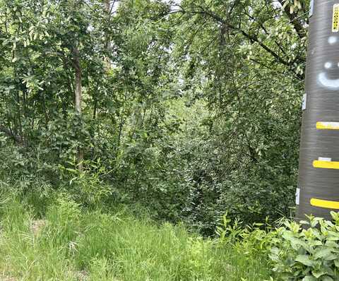 Lot 79 Manter Meadow Drive, California Hot Springs, CA 93207