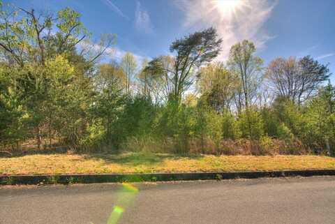 248 & 252 Carrie Circle, Mount Carmel, TN 37645
