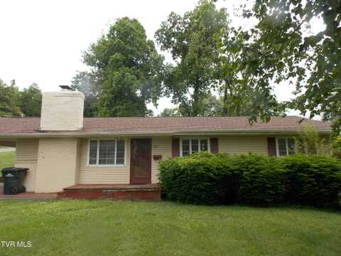 167 Cherry Lane, Bristol, VA 24201