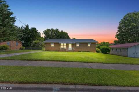 313 Peach Blossom Court, Johnson City, TN 37604