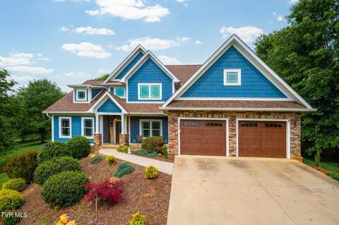 228 Sandy Point Drive, Blountville, TN 37617