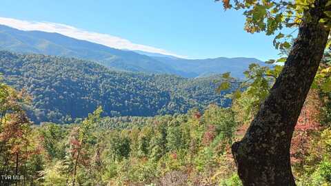 Tbd Rattlesnake Ridge Lot 19 & 31, Butler, TN 37640