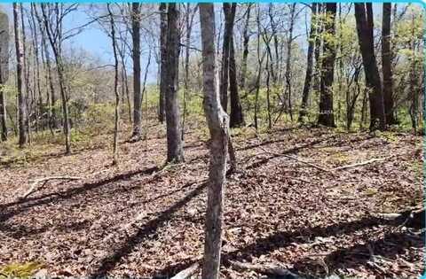 Chinkapin Cv, HOLLADAY, TN 38341