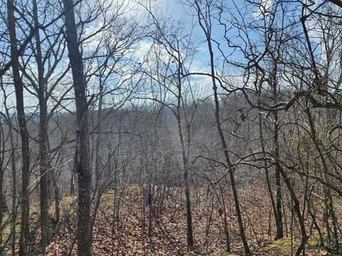 Robin Cv, HOLLADAY, TN 38341