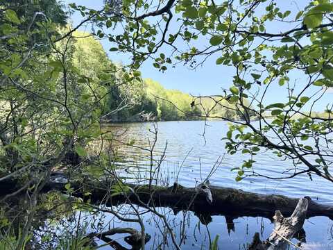 Lot 8 Near Pomeroy Lake, Marenisco, MI 49947