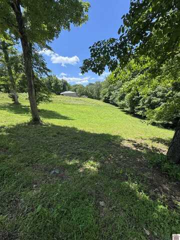 Lot #35 E Cobblestone Ct, Kuttawa, KY 42055
