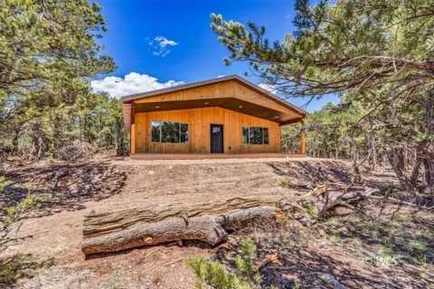 387 15th TRAIL, Texas Creek, CO 81223