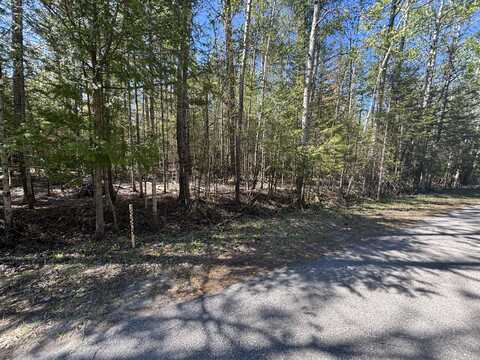 16905 E Norwood Court, Presque Isle, MI 49777