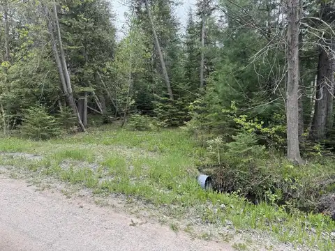 W M-68, Alanson, MI 49706