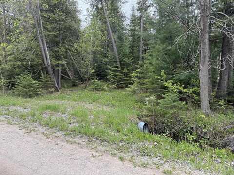 W M-68, Alanson, MI 49706