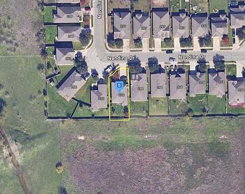 Nandina, BUDA, TX 78610