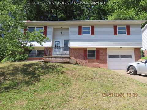 Azalea, ELKVIEW, WV 25071