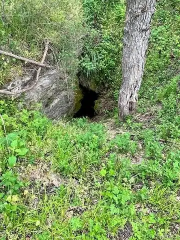 Bear Hollow, PINEVILLE, MO 64856