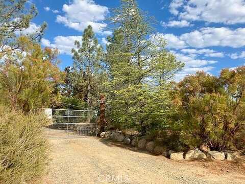 Bautista Canyon, ANZA, CA 92539