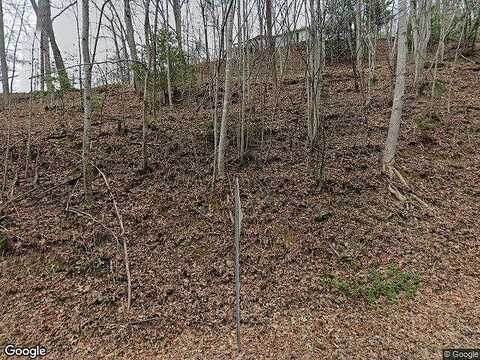 Lot8 Blackberry Bnd, Bryson City, NC 28713