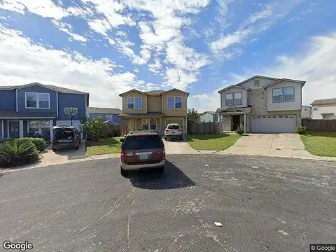 Burro, SAN ANTONIO, TX 78244