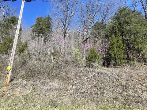 Highland Trace Rd, Sharps Chapel, TN 37866