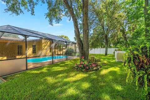 Cypress Knee, HUDSON, FL 34667