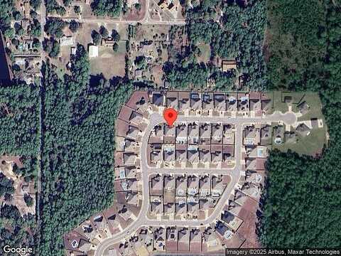Areca Palm, GULF BREEZE, FL 32563