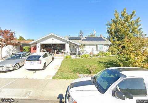 Deodara, VACAVILLE, CA 95688