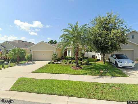 Star Coral, NEW SMYRNA BEACH, FL 32168