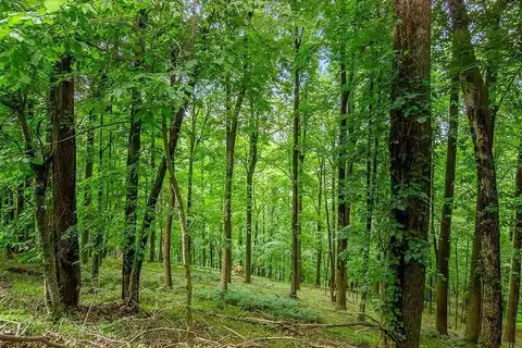M165 Walnut Mountain, Ellijay, GA 30540