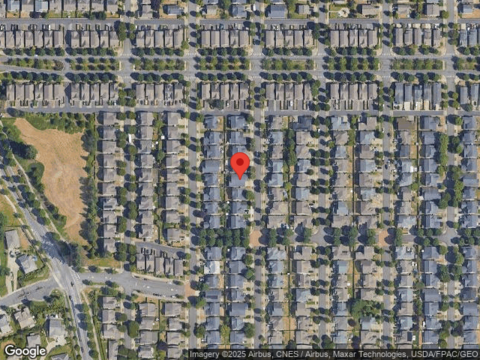 Axis, LACEY, WA 98513