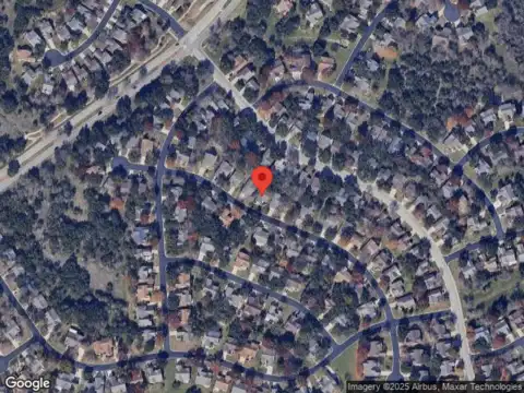 Ruellia, GEORGETOWN, TX 78633