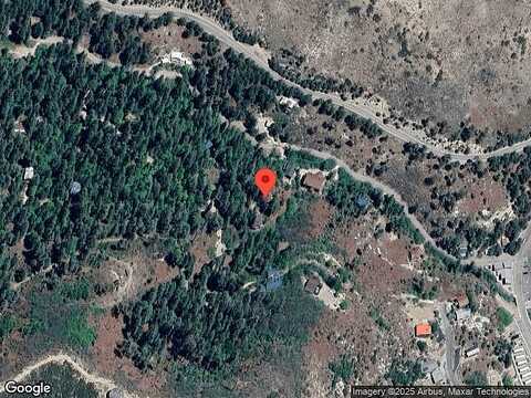 Grosbeak, MOUNT LEMMON, AZ 85619