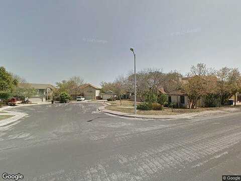 Cupflower, SAN ANTONIO, TX 78249