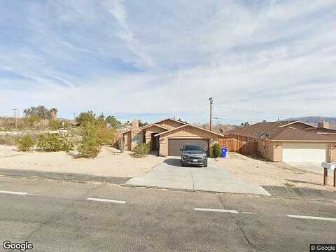 Lupine, TWENTYNINE PALMS, CA 92277