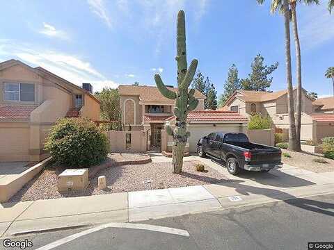 Taro, PHOENIX, AZ 85024