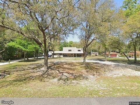 Chokeberry, MIDDLEBURG, FL 32068
