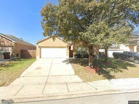 Impatiens, SAN ANTONIO, TX 78245