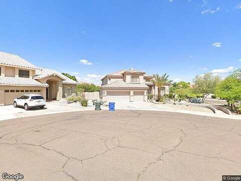 Desert Broom, PHOENIX, AZ 85044