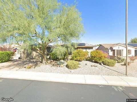 Zinnia, SURPRISE, AZ 85374