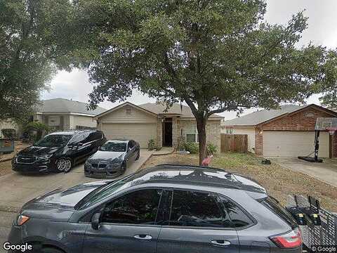 Cougar Country, SAN ANTONIO, TX 78251