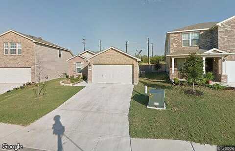Palomino, SAN ANTONIO, TX 78245