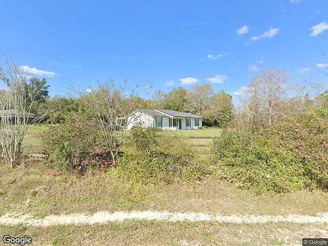 Sesame, MIDDLEBURG, FL 32068