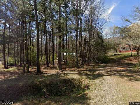 Hopson, HOGANSVILLE, GA 30230