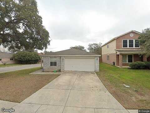Texas Mulberry, SAN ANTONIO, TX 78253
