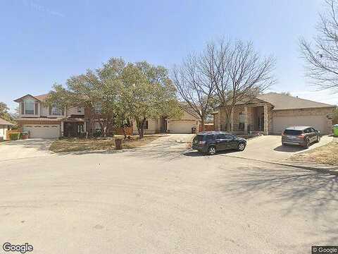 Nesting, SAN ANTONIO, TX 78253
