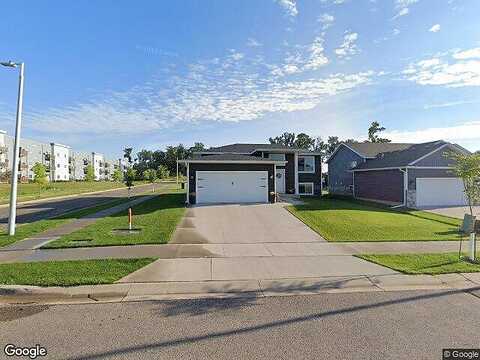 Gaillardia, ROCHESTER, MN 55901