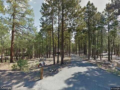 Kiltie, FLAGSTAFF, AZ 86005