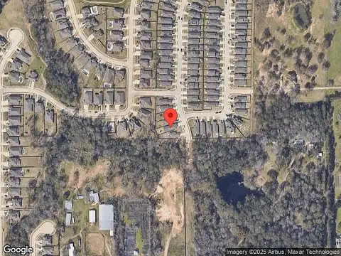 Hickory Pecan, TOMBALL, TX 77375