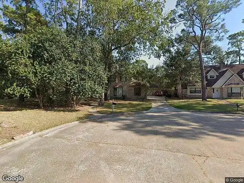 Romaine, HOUSTON, TX 77090