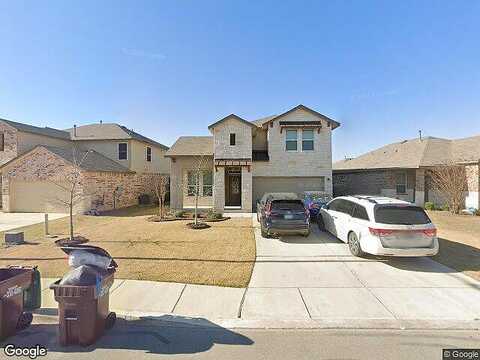 Bicknell Sedge, SAN ANTONIO, TX 78254