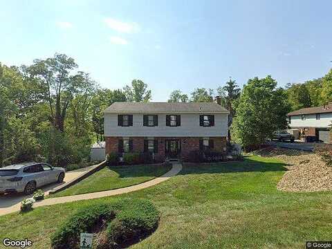 Douglas Fir, PITTSBURGH, PA 15239
